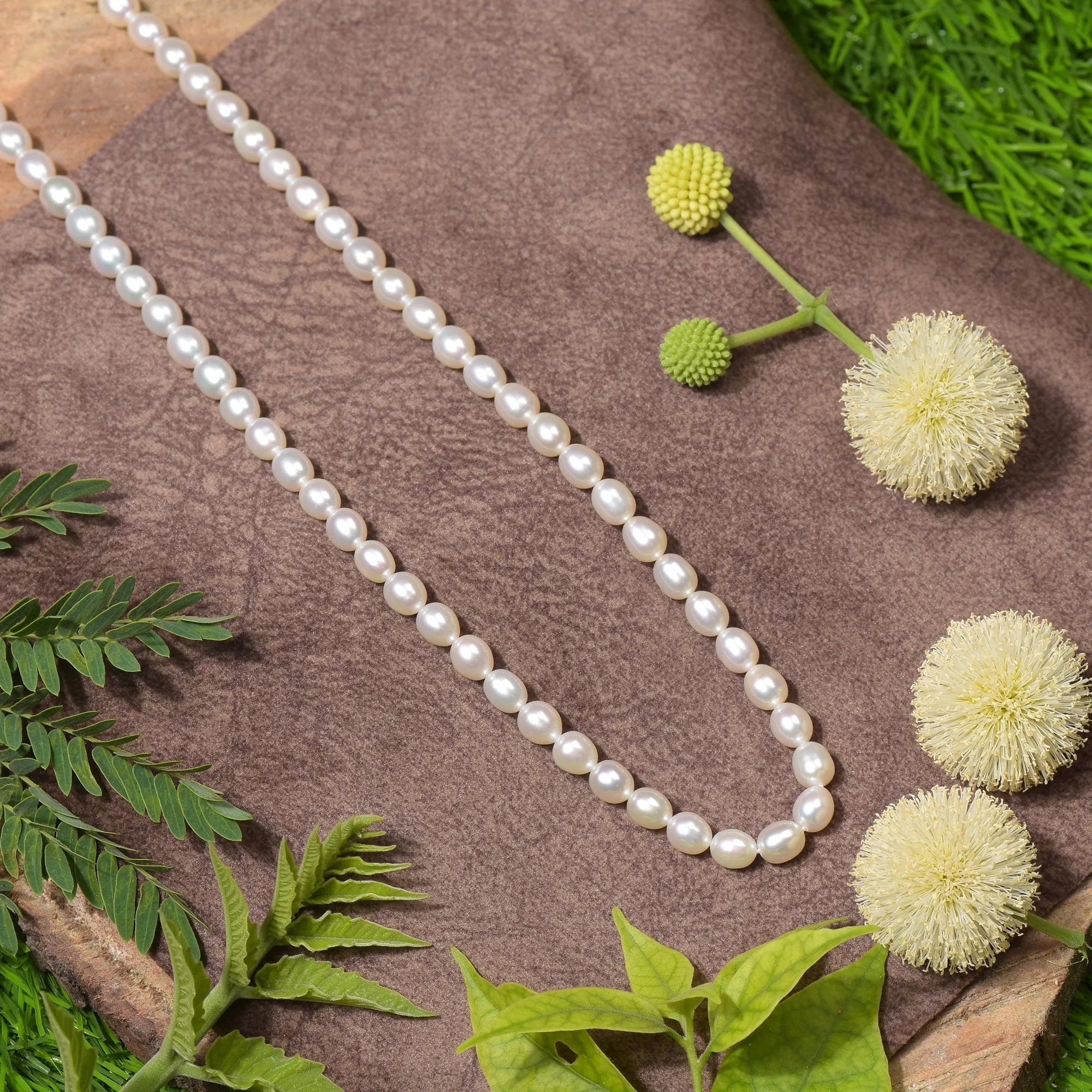 Pearl Single String Necklace